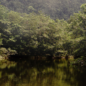 kaulah rinduku