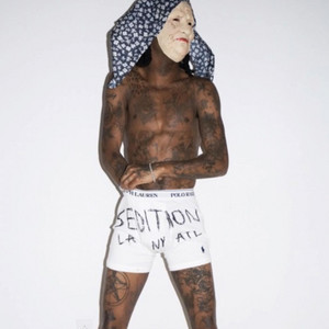 Studio Fein by designer!
