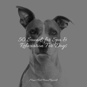 50 Sounds for Spa & Relaxation For Dogs album