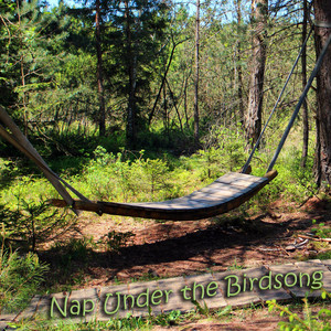 Nap Under the Birdsong by Dj Pink flower
