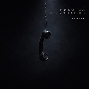 LeoniDъ - Никогда не узнаешь