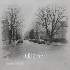Calle Gris by Michumichu
