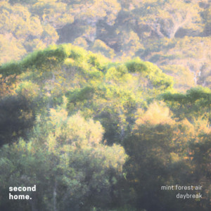 daybreak by mint forest air