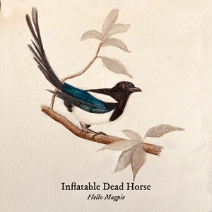 album cover: Hello Magpie