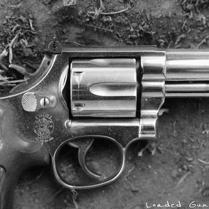 Loaded Gun by Parker Ryan