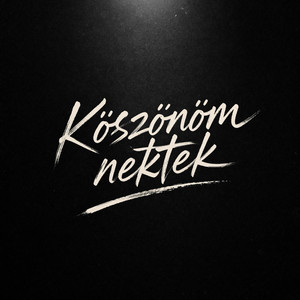 Mr.Nobody - Köszönöm nektek