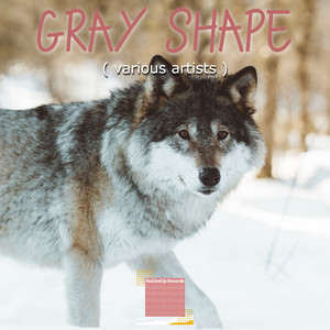 Gray Shape