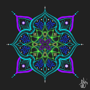 OPACO by Nise