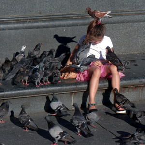 Pigeon by allsmiles