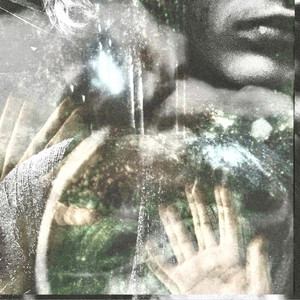 distemperate - voice