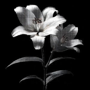 Silver Smoky Reverie by Linda Aderemi