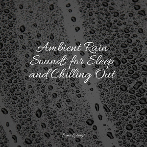 Ambient Rain Sounds for Sleep and Chilling Out album
