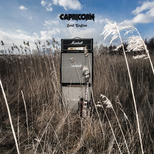 Wildfire by Capricorn