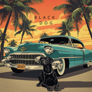 Black Dog by Pacific Strings, Acoustic Lumination