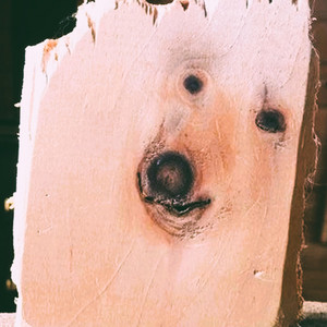Wood dog by Ruto