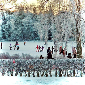 January by Katy Hustwick