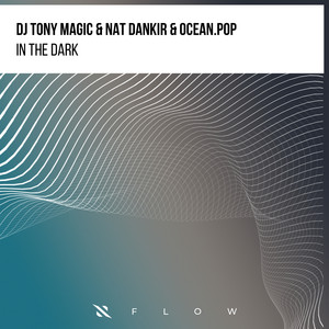 In the Dark - VIP Mix by DJ Tony Magic, Nat Dankir, Ocean.Pop