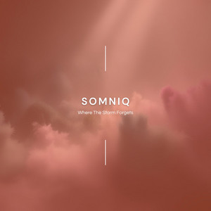Where The Storm Forgets by Somniq