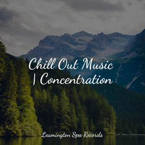 Chill Out Music | Concentration album