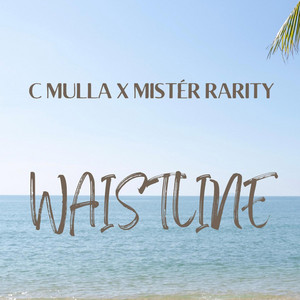 Portada de Waistline