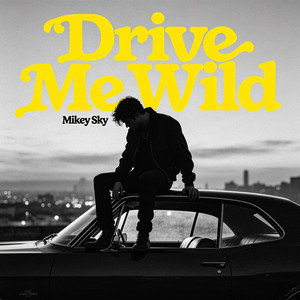 Drive Me Wild by Mikey Sky