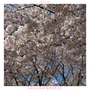 Sakura Breeze by Bela
