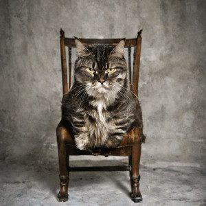 kingpuntocom beats - Cat Miau