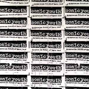 Death Valley '69 - song and lyrics by Sonic Youth, Lydia Lunch