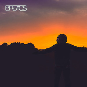 Fly With Me by Breacs