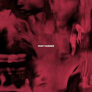Won't Subside by Black Knives