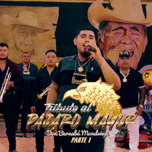Los Pajaritos de Tacupa - Tributo al Pájaro Mayor, Pt.1 (En Vivo)