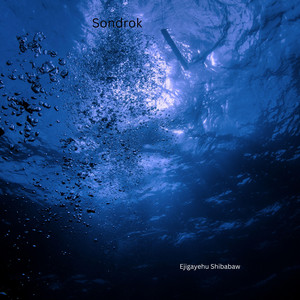 sondrok - Ejigayehu Shibabaw