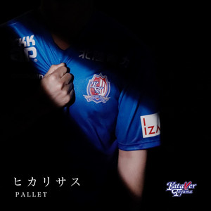 PALLET - Hikarisasu
