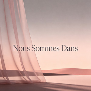 Je Suis D'accord by Bruno Adelaide