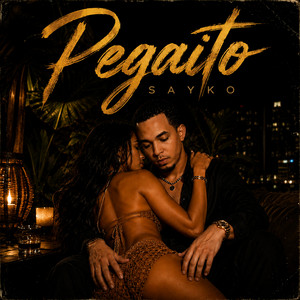 Pegaito by Sayko
