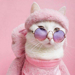 el v colega prod - Sila Envidia Mata Que en Paz Descanses Gata