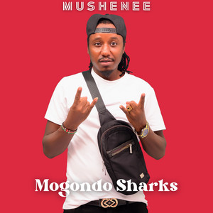 Mogondo Sharks - Mushenee