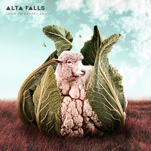 Tried to Forget About by Alta Falls