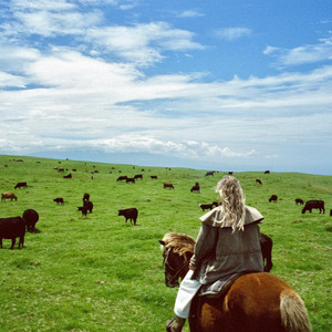 Till The Cows Come Home by Lydia Kaseta