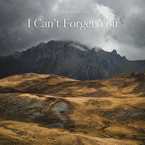 I Can't Forget You (Radio edit) by Tina Martin