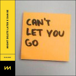 Can't Let You Go by Might Delete Later, Dan be