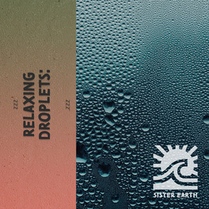 zZz Relaxing Droplets: Rain at the Marsh zZz album