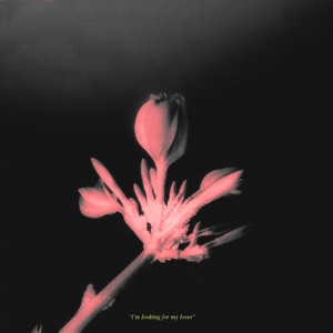 Marigold (Super Slowed) by Kevin McLellan