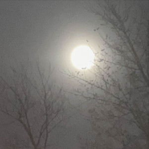 Lodoni, WockyTrendz & MirOnaBeat - GOODBYE