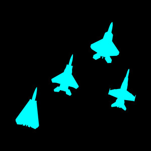 Flight