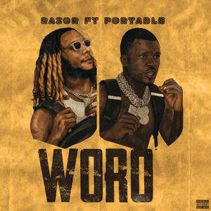 Woro by Razor, Portable