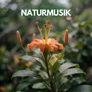 Naturmusik