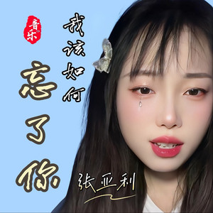 我该如何忘了你 by 张亚利