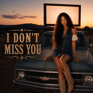 I Dont Miss You by Harlow Rose