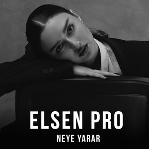 Elsen Pro - Neye Yarar